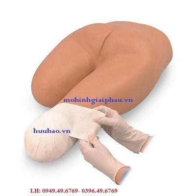 Mô hình băng bó vết thương cắt cụt chi dưới