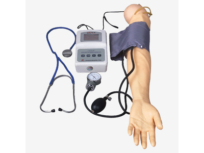 Mô hình cánh tay đo huyết áp