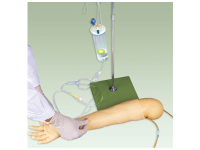 Mô hình cánh tay trẻ em (4 tuổi)