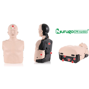 Mô hình hồi sức CPR