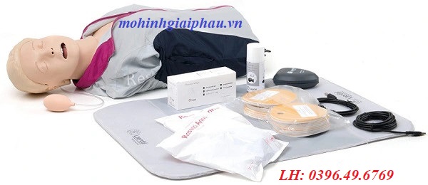 MÔ HÌNH CẤP CỨU NGƯNG TUẦN HOÀN CHO PHÉP ĐẶT NỘI KHÍ QUẢN