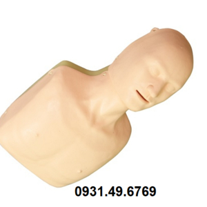 MÔ HÌNH CẤP CỨU NGỪNG TUẦN HOÀN BÁN THÂN CƠ BẢN HONGLIAN GD/CPR166
