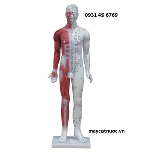 MÔ HÌNH CHÂM CỨU TOÀN THÂN 60CM 1 BÊN SƠN CƠ