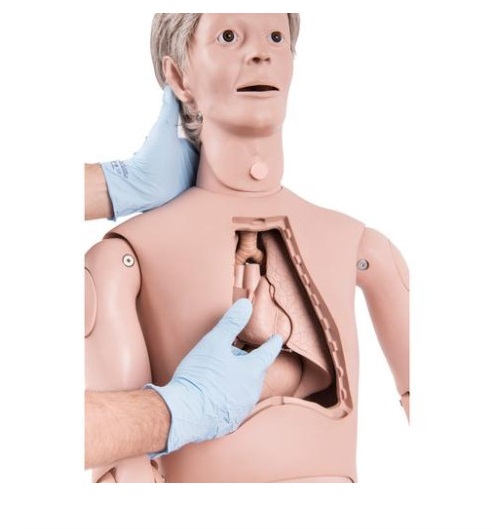 Mô hình đào tạo chăm sóc điều dưỡng nâng cao 1018816 [P10/1]