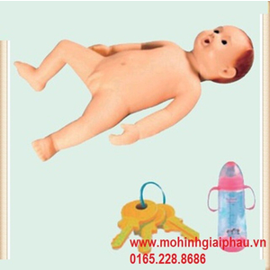 Mô hình chăm sóc trẻ sơ sinh hiếu động HH330