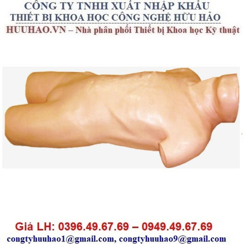 Mô hình chọc dịch ổ bụng GD/L261