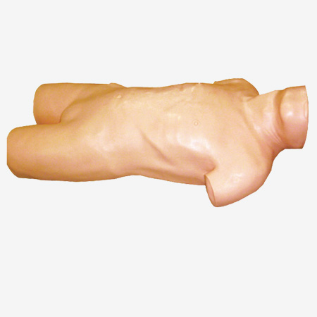 Mô hình chọc dò ổ bụng
