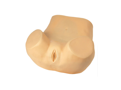 Mô hình chọc hút túi cùng âm đạo