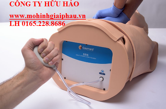 Mô hình CPR hồi sinh tim phổi người lớn bán thân