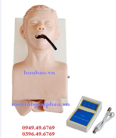 Mô hình đặt nội khí quản người lớn