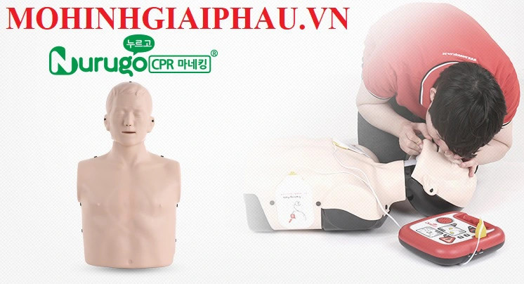 Mô hình huấn luyện hồi sức tim phổi CPR NURUGO