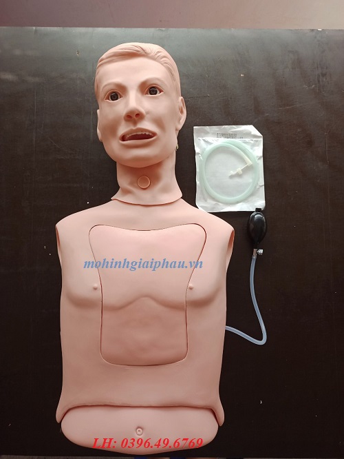 MÔ HÌNH THỰC HÀNH MỞ KHÍ QUẢN, ĐẶT NỘI KHÍ QUẢN, ĐẶT SONDE DẠ DÀY