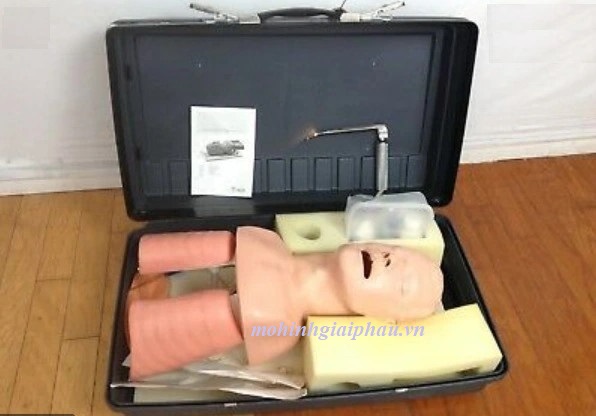 Mô hình đặt nội khí quản người lớn Laerdal