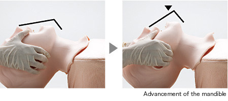 Mô hình luyện tập đặt nội khí quản M167