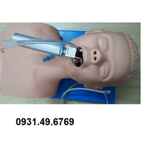 MÔ HÌNH ĐẶT NỘI KHÍ QUẢN NGƯỜI LỚN