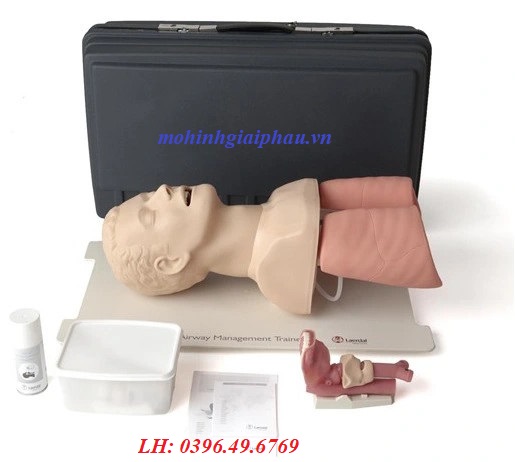 MÔ HÌNH ĐẶT NỘI KHÍ QUẢN NGƯỜI LỚN LAERDAL