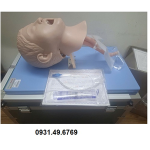 MÔ HÌNH ĐẶT NỘI KHÍ QUẢN TRẺ EM HONGLIAN GD/J16