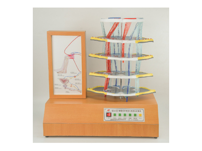 Mô hình điện tử VSR và Jury