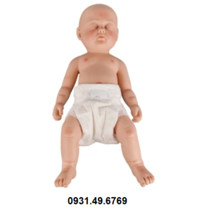 MÔ HÌNH ĐIỀU DƯỠNG CHĂM SÓC TRẺ SƠ SINH SILICON