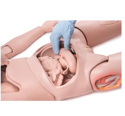 Mô hình chăm sóc điều dưỡng cao cấp 1018816 [P10/1]