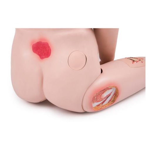 Mô hình chăm sóc điều dưỡng bệnh nhân 1018816 [P10/1]