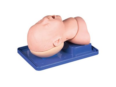 Mô hình đường thở trẻ em