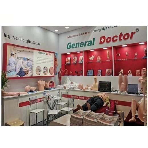 Mô hình giải phẫu cơ thể người