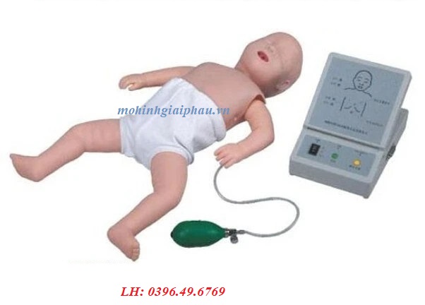 Mô hình thực hành hồi sức tim phổi trẻ em CPR 10150