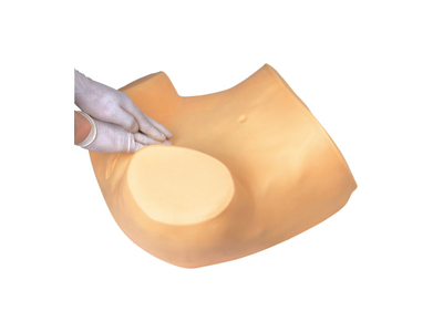 Mô hình khám phụ khoa