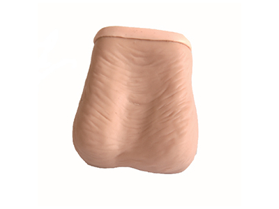 Mô hình kiểm tra tinh hoàn