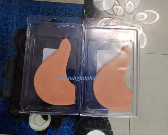 Mô hình thực tập khâu dạ dày