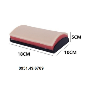 MÔ HÌNH MIẾNG DA THỰC HÀNH CHÂM CỨU