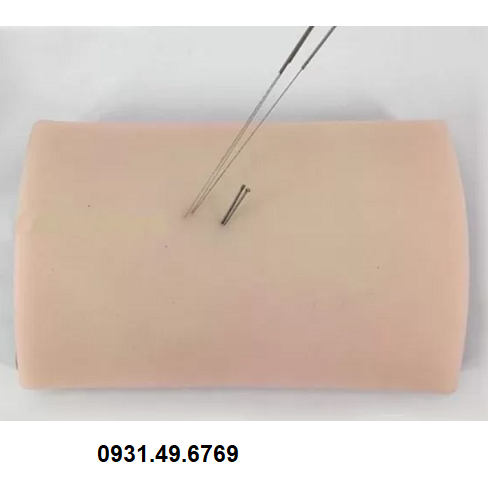 MÔ HÌNH MIẾNG DA THỰC HÀNH CHÂM CỨU