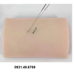 MÔ HÌNH MIẾNG DA THỰC HÀNH CHÂM CỨU