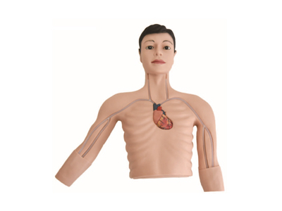 Mô hình mô phỏng đặt đường truyền tĩnh mạch trung tâm từ ngoại biên