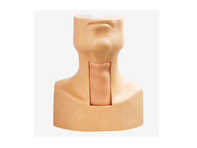 Mô hình mô phỏng mở khí quản