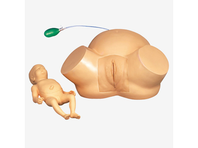 Mô hình mô phỏng quá trình sinh nở khó khăn