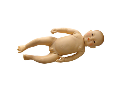 Mô hình mô phỏng sự phát triển trí tuệ của trẻ sơ sinh