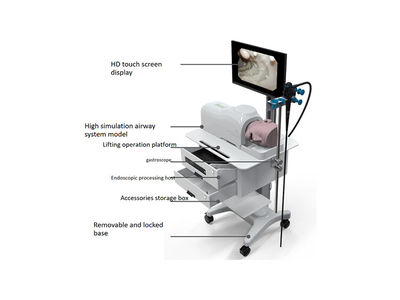 Mô hình đào tạo tích hợp nội soi dạ dày