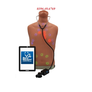 MÔ HÌNH NGHE TIM PHỔI NGƯỜI LỚN MODEL LF01290