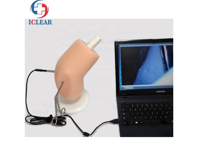 Mô hình thực hành nội soi khớp gối