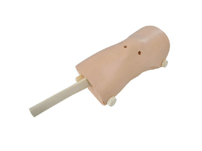 Mô hình nội soi khớp gối