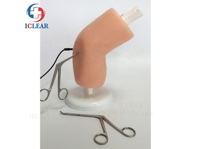 Mô hình thực hành nội soi khớp gối