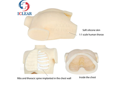 Mô hình thực hành nội soi lồng ngực