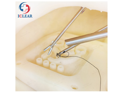 Mô hình thực hành nội soi lồng ngực