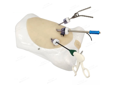 Mô hình thực hành nội soi ổ bụng