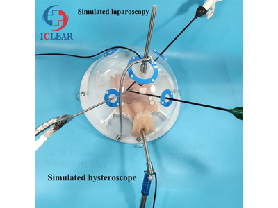 Mô hình thực hành nội soi sản phụ khoa