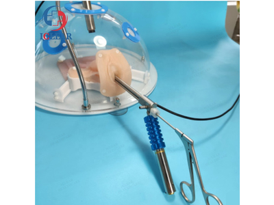 Mô hình thực hành nội soi sản phụ khoa