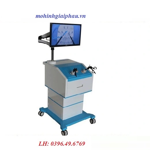 Mô hình thực hành phẫu thuật nội soi