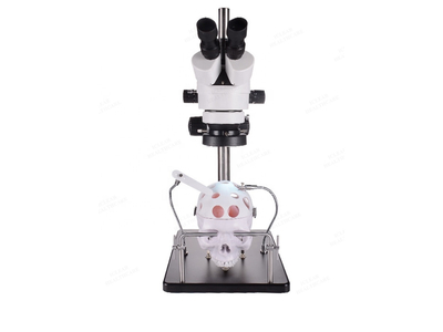 Mô hình thực hành phẫu thuật thần kinh (có kèm kính hiển vi)